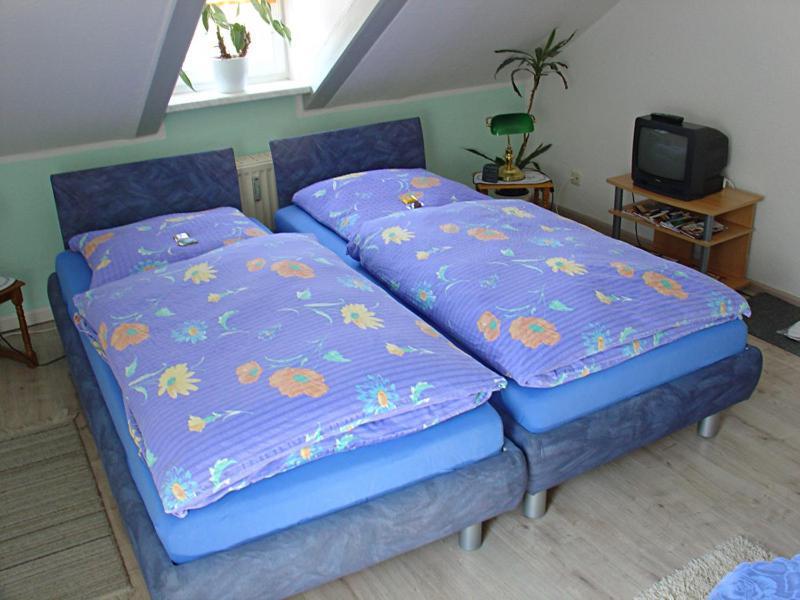Hotel-Pension Koenigswald Dresden Rom bilde